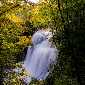 Preview wallpaper waterfall, trees, branches, rays, sun