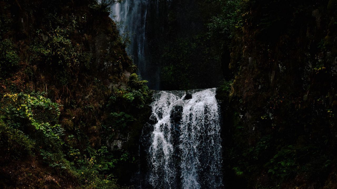 Wallpaper waterfall, trees, dark