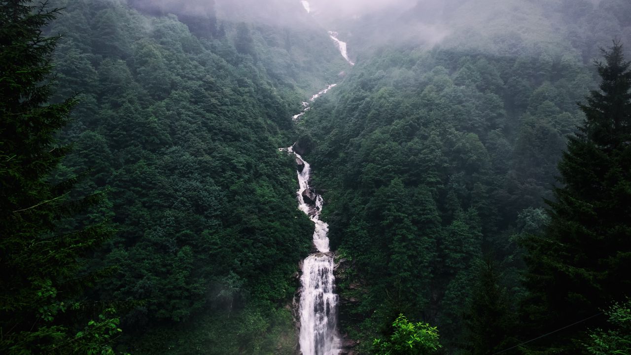 Wallpaper waterfall, trees, fog
