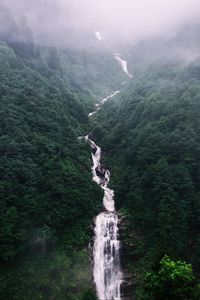 Preview wallpaper waterfall, trees, fog