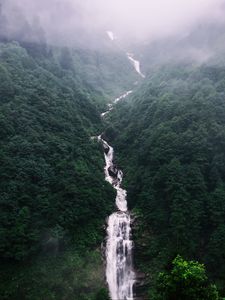 Preview wallpaper waterfall, trees, fog