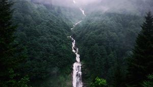 Preview wallpaper waterfall, trees, fog