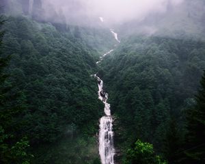 Preview wallpaper waterfall, trees, fog