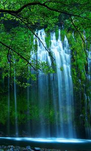 Preview wallpaper waterfall, trees, for