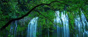 Preview wallpaper waterfall, trees, for