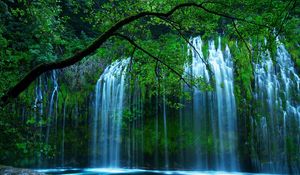 Preview wallpaper waterfall, trees, for