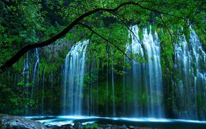 Preview wallpaper waterfall, trees, for