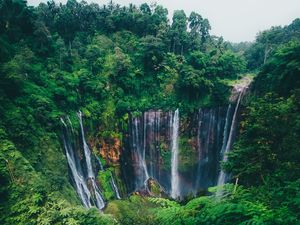 Preview wallpaper waterfall, trees, forest, green, current, cliff