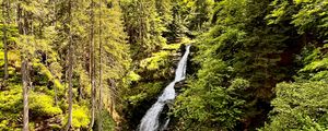 Preview wallpaper waterfall, trees, forest