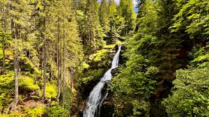 Preview wallpaper waterfall, trees, forest