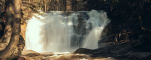 Preview wallpaper waterfall, trees, forest, landscape