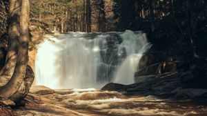 Preview wallpaper waterfall, trees, forest, landscape