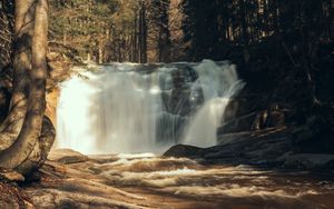 Preview wallpaper waterfall, trees, forest, landscape