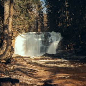 Preview wallpaper waterfall, trees, forest, landscape