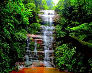 Preview wallpaper waterfall, trees, grass, dinosaur