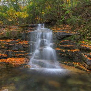 Preview wallpaper waterfall, trees, leaves, stones