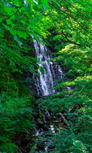 Preview wallpaper waterfall, trees, leaves, landscape, nature