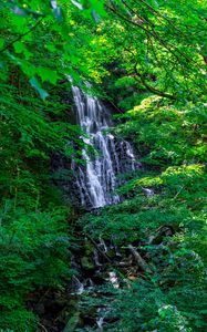 Preview wallpaper waterfall, trees, leaves, landscape, nature