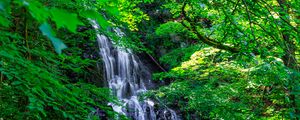 Preview wallpaper waterfall, trees, leaves, landscape, nature