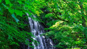 Preview wallpaper waterfall, trees, leaves, landscape, nature