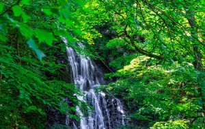 Preview wallpaper waterfall, trees, leaves, landscape, nature