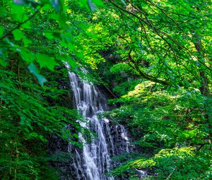 Preview wallpaper waterfall, trees, leaves, landscape, nature