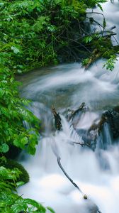 Preview wallpaper waterfall, trees, leaves, water