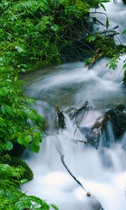 Preview wallpaper waterfall, trees, leaves, water