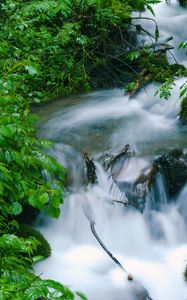 Preview wallpaper waterfall, trees, leaves, water