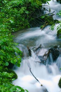 Preview wallpaper waterfall, trees, leaves, water