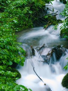 Preview wallpaper waterfall, trees, leaves, water