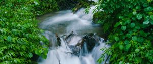 Preview wallpaper waterfall, trees, leaves, water