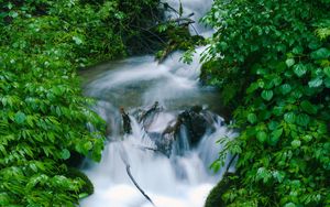 Preview wallpaper waterfall, trees, leaves, water