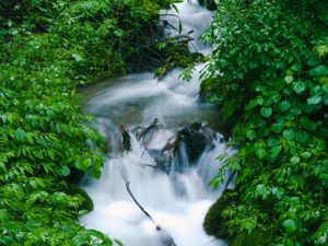 Preview wallpaper waterfall, trees, leaves, water