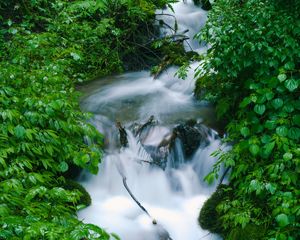 Preview wallpaper waterfall, trees, leaves, water