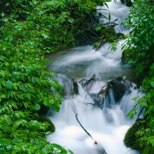 Preview wallpaper waterfall, trees, leaves, water