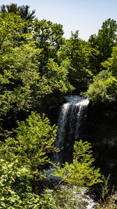 Preview wallpaper waterfall, trees, leaves, landscape