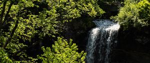 Preview wallpaper waterfall, trees, leaves, landscape