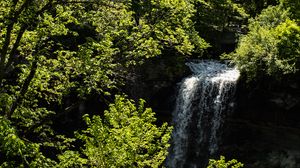 Preview wallpaper waterfall, trees, leaves, landscape