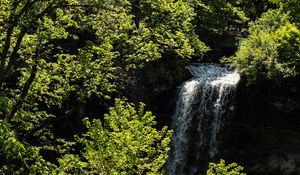 Preview wallpaper waterfall, trees, leaves, landscape