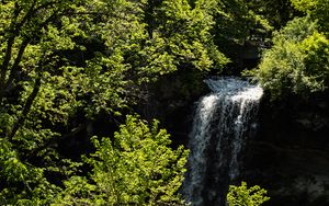 Preview wallpaper waterfall, trees, leaves, landscape