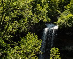 Preview wallpaper waterfall, trees, leaves, landscape