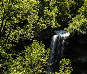 Preview wallpaper waterfall, trees, leaves, landscape