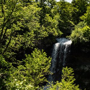 Preview wallpaper waterfall, trees, leaves, landscape