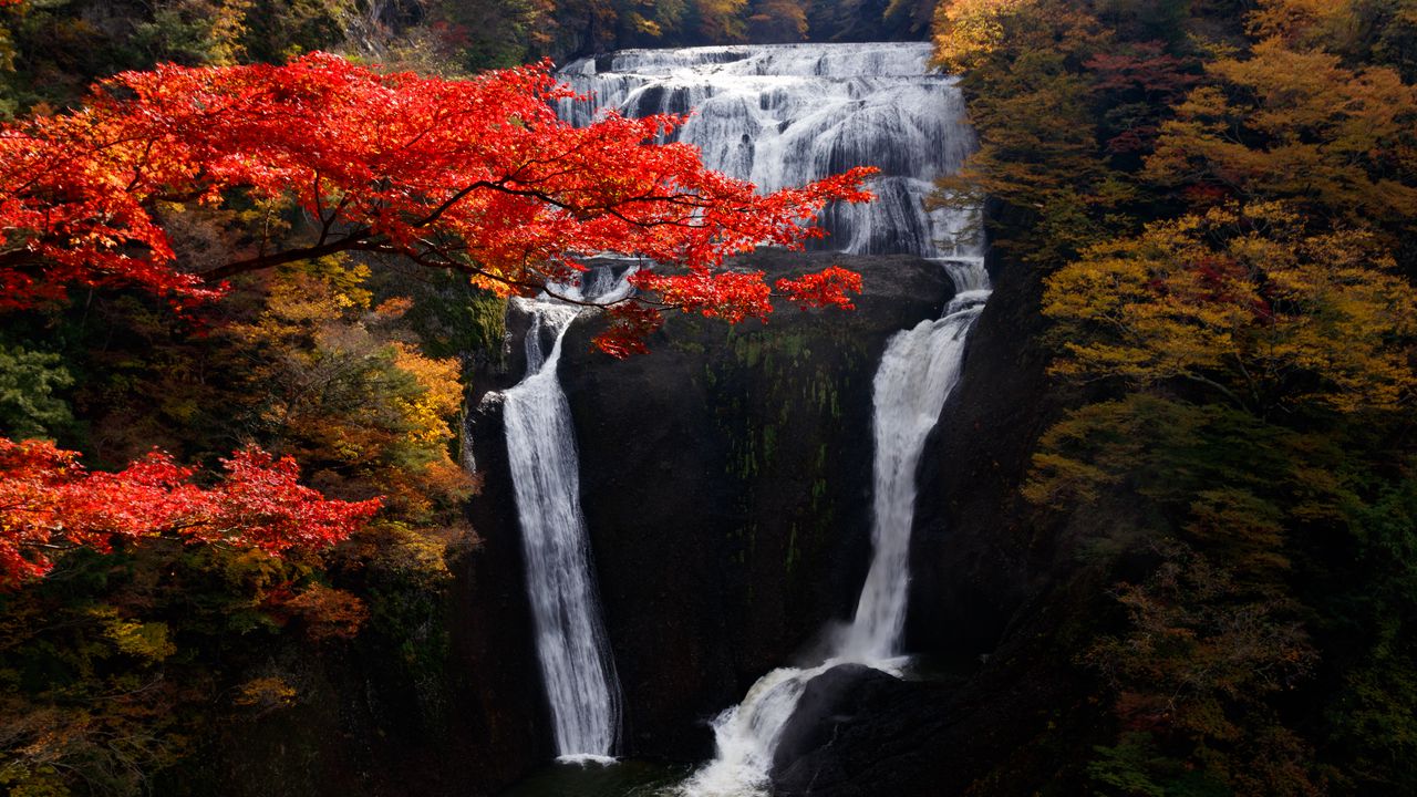 Wallpaper waterfall, trees, precipice, current, autumn