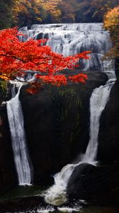 Preview wallpaper waterfall, trees, precipice, current, autumn