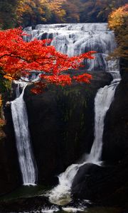 Preview wallpaper waterfall, trees, precipice, current, autumn