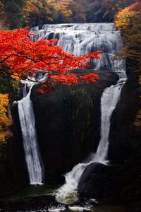 Preview wallpaper waterfall, trees, precipice, current, autumn