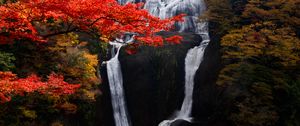 Preview wallpaper waterfall, trees, precipice, current, autumn