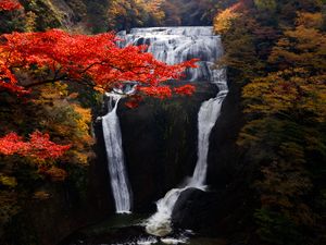 Preview wallpaper waterfall, trees, precipice, current, autumn